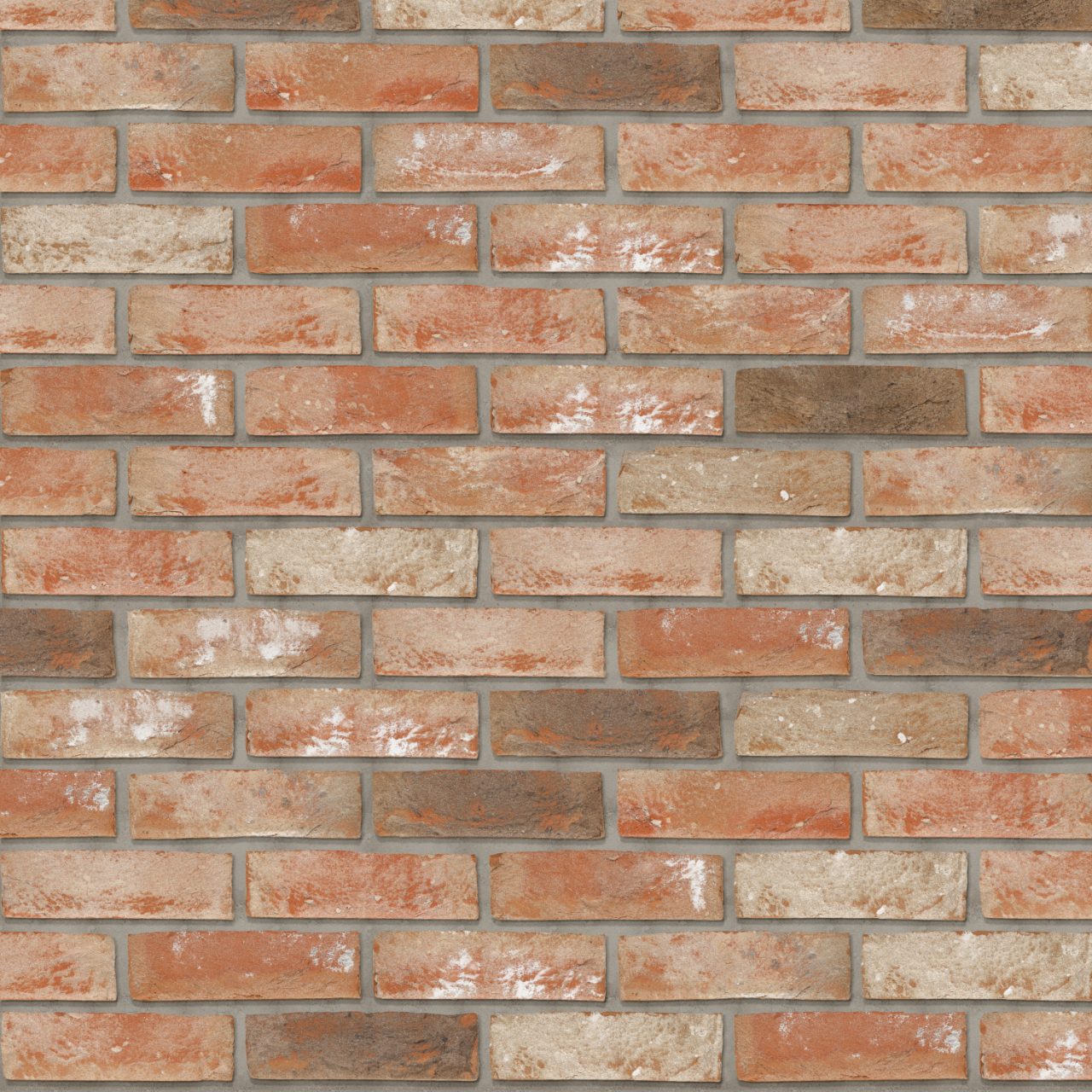 Packshot of Terca Patrimonia Renaissance