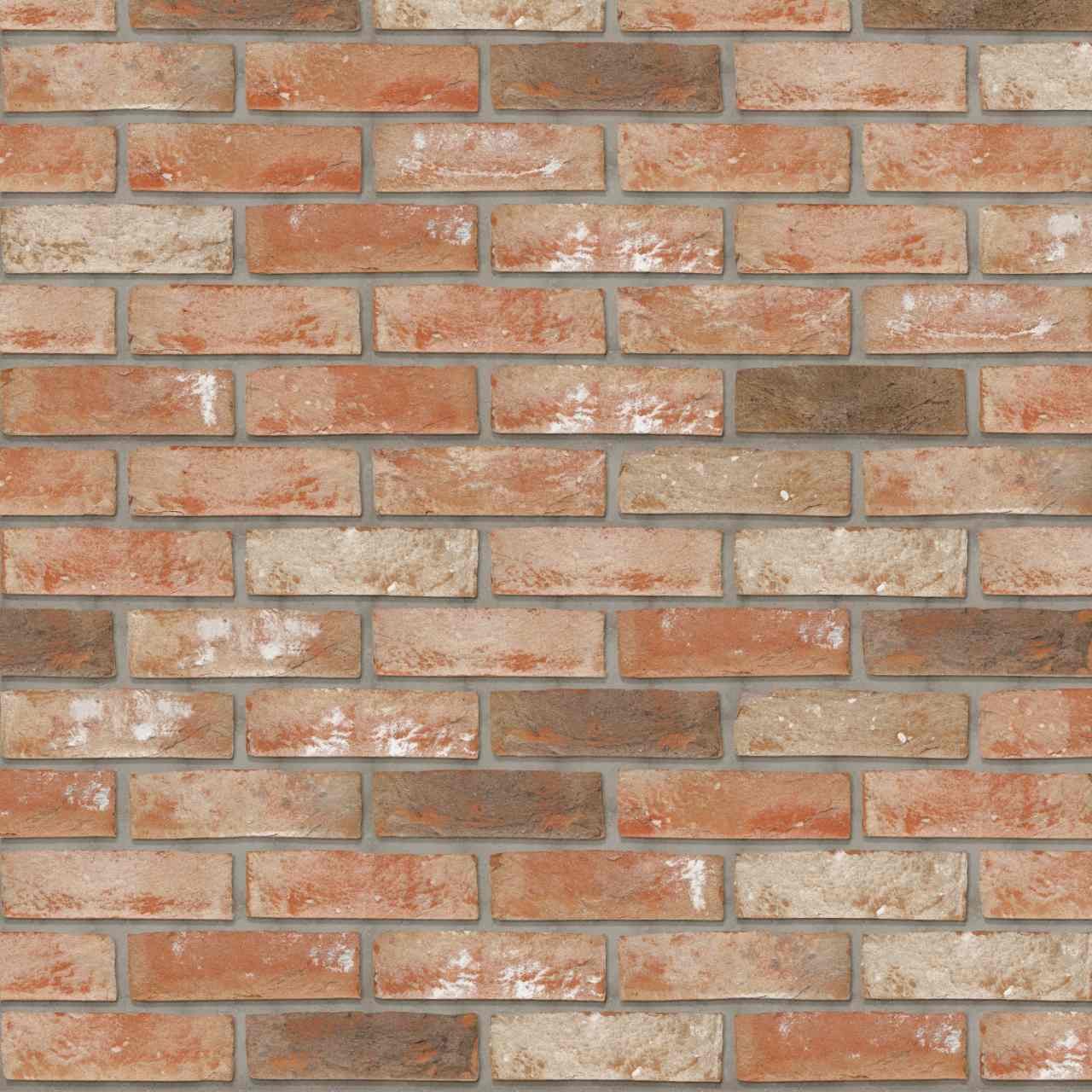 Packshot of Terca Patrimonia Renaissance