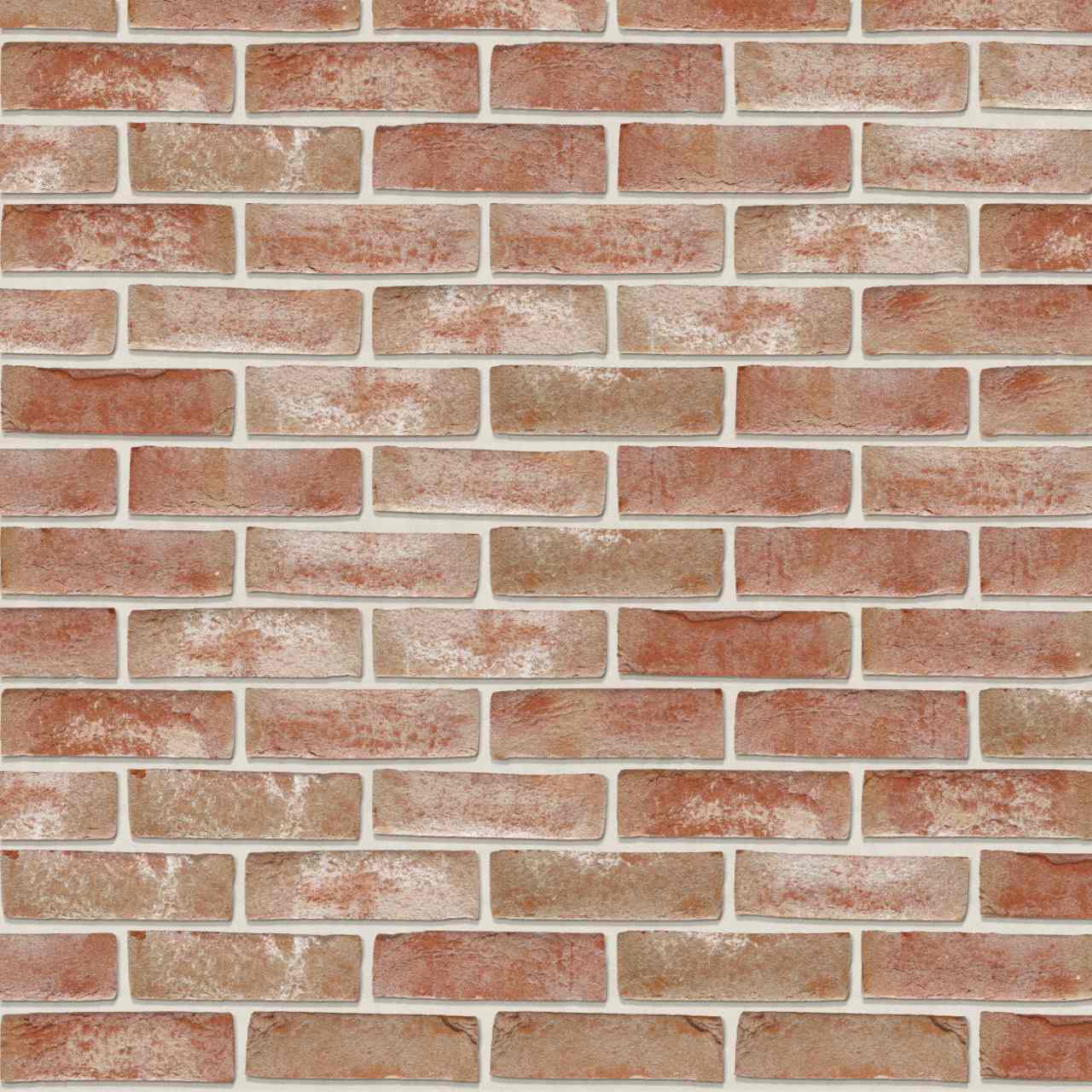 Packshot of Patrimonia Oud Rieme facing bricks