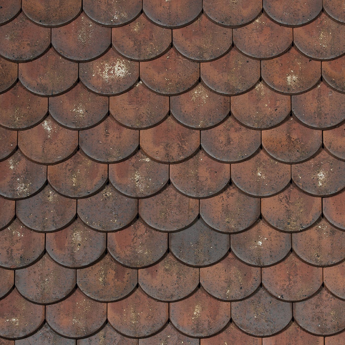 Panneau Ecaille esprit patrimoine Aleonard Vert de lichen.jpg