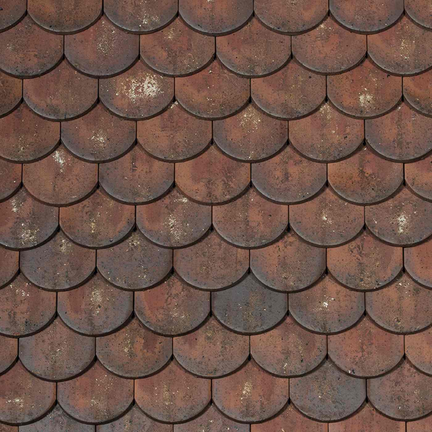 Panneau Ecaille esprit patrimoine Aleonard Vert de lichen.jpg