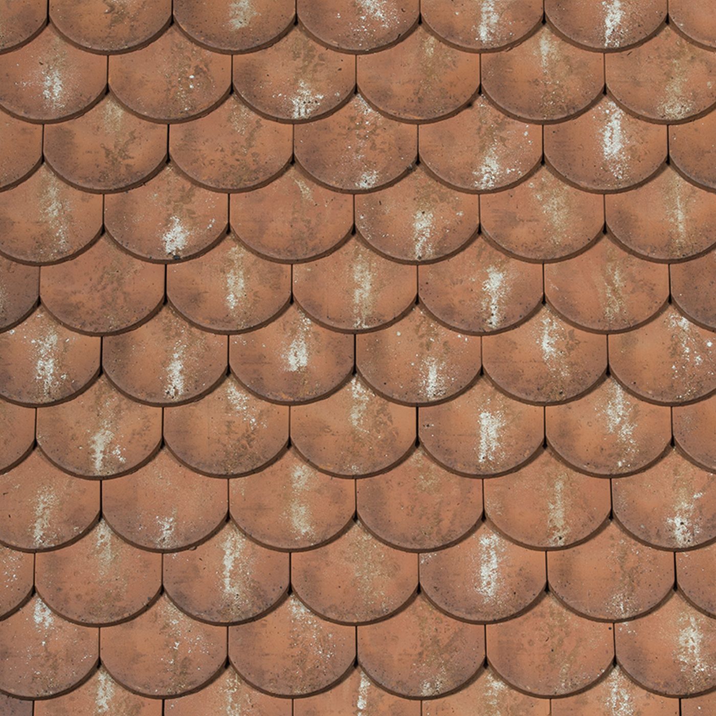 Panneau Ecaille esprit patrimoine Aleonard Ocre lichen