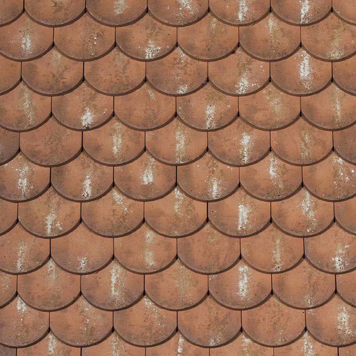 Panneau Ecaille esprit patrimoine Aleonard Ocre lichen