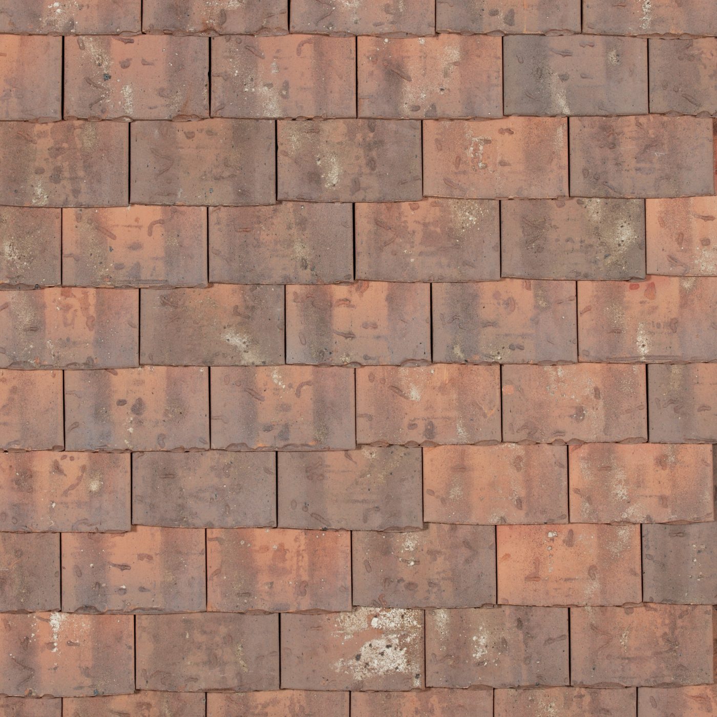 Panneau Tuile Monument historique Rectangulaire Ocre lichen