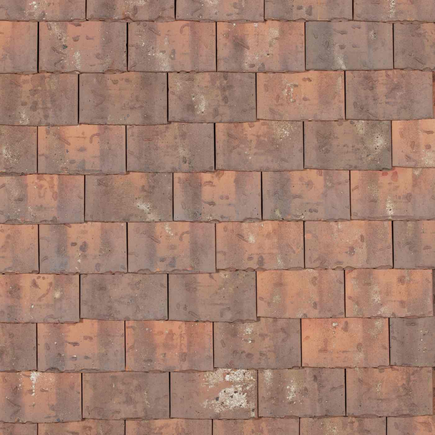 Panneau Tuile Monument historique Rectangulaire Ocre lichen